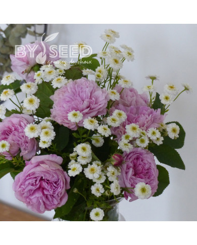 Matricaire double Tetra White Wonder