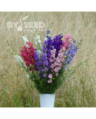 Pied d'alouette annuel Imperial QIS® Formula Mix