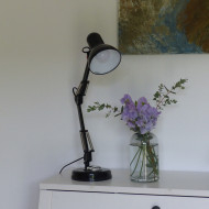 Pois de senteur Spring Sunshine Light Blue