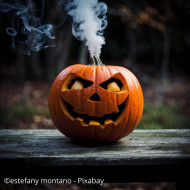 Potiron Jack'o Lantern - Courge d'Halloween