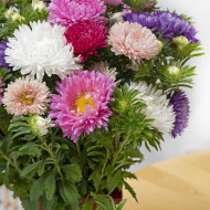 Reine-Marguerite King Size Mix