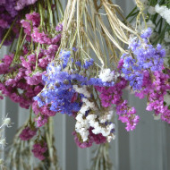 Statice Forever Art Shades