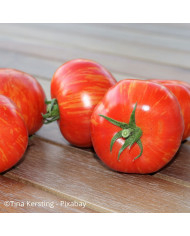 Tomate Principe Borghese