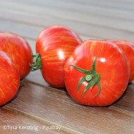 Tomate Tigerella