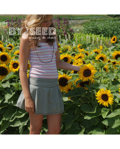 Tournesol nain Little Dorrit F1