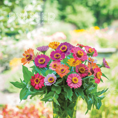 Zinnia Forecast Mix