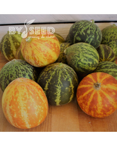 Melon de poche Queen Anne's Pocket