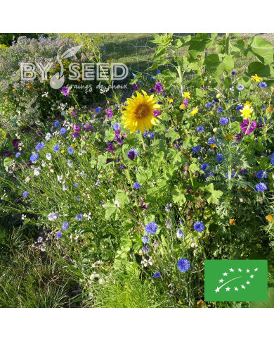 Mélange de fleurs comestibles BIO