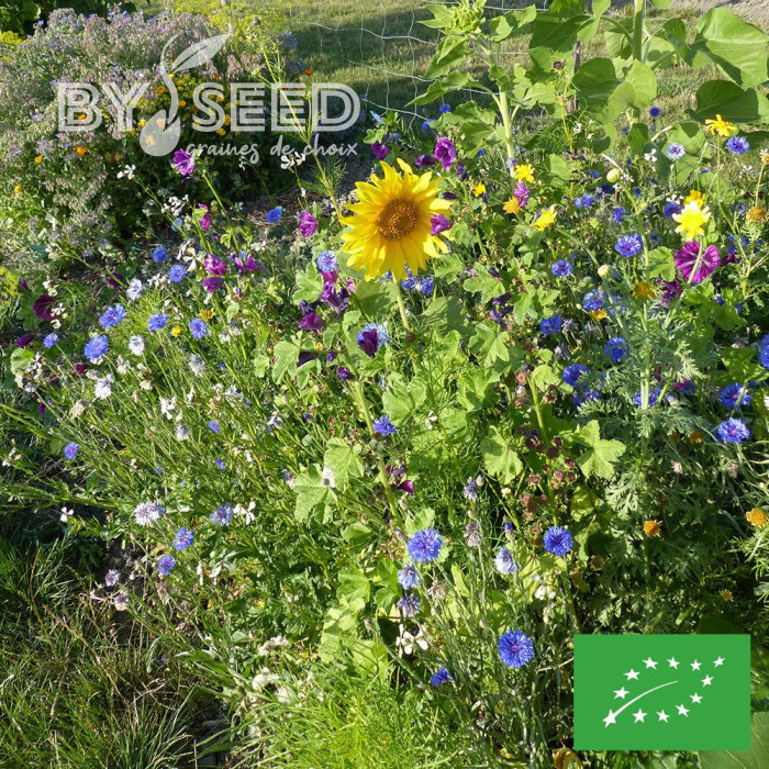 Mélange de fleurs comestibles BIO