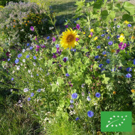 Mélange de fleurs comestibles BIO