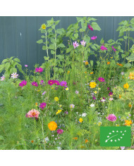 Mélange de fleurs comestibles BIO