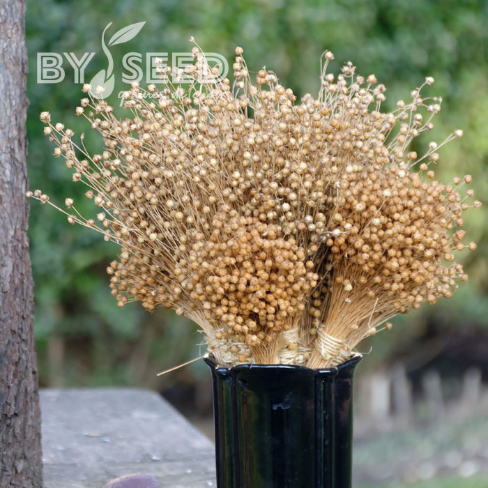 Lin annuel Skyscraper