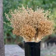 Lin annuel Skyscraper