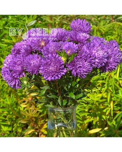 Reine-Marguerite King Size Mid-Blue