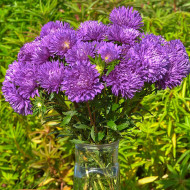Reine-Marguerite King Size Mid-Blue