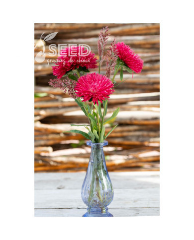 Reine-Marguerite King Size Red