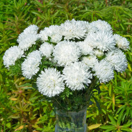Reine-Marguerite King Size White