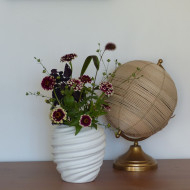 Zinnia haageana Jazzy Red
