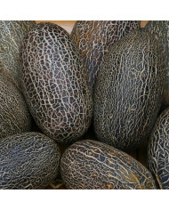 Souci Pacific Beauty Cream