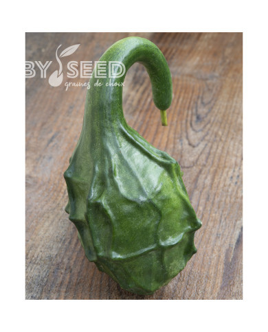 Calebasse (Gourde-bouteille) Dinosaur