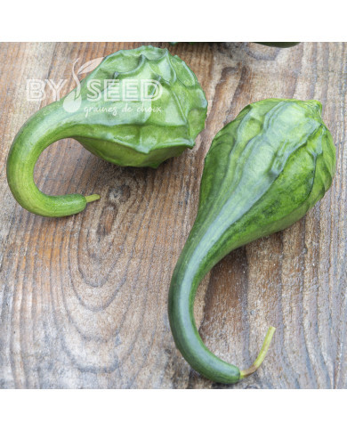 Calebasse (Gourde-bouteille) Dinosaur