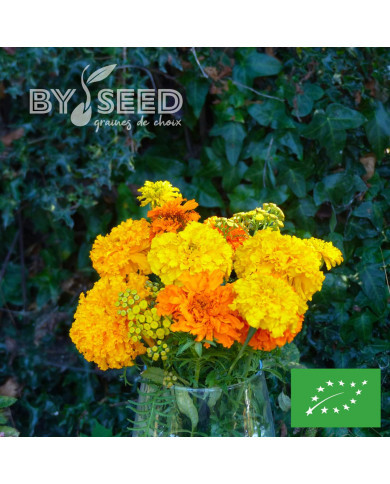 Rose d'Inde Crackerjack Mix BIO