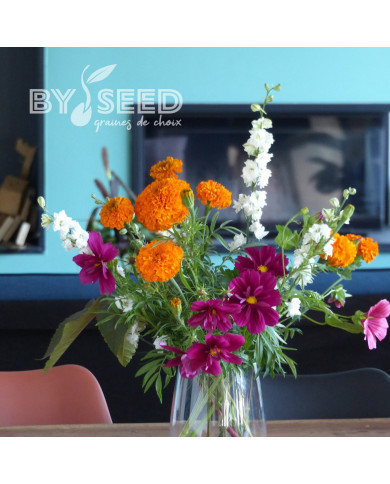 Rose d'Inde Kees' Orange