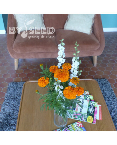 Rose d'Inde Kees' Orange