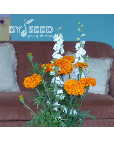 Rose d'Inde Kees' Orange