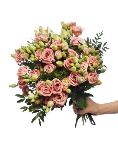 Lisianthus F1 LisAdora® Apricot III (graines enrobées)