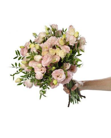 Lisianthus F1 LisAdora® Light Pink III (graines enrobées)