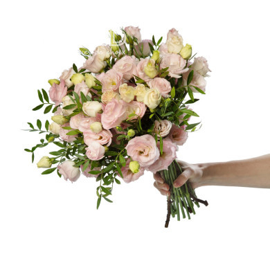Lisianthus F1 LisAdora® Light Pink III (graines enrobées)