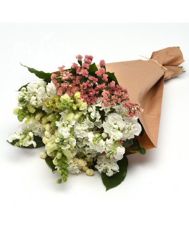 Giroflée quarantaine Katz Hi-double White