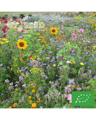 Mélange de fleurs pour Abeilles BIO