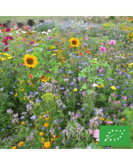 Mélange de fleurs annuelles nectarifères et mellifères Oxipoli®