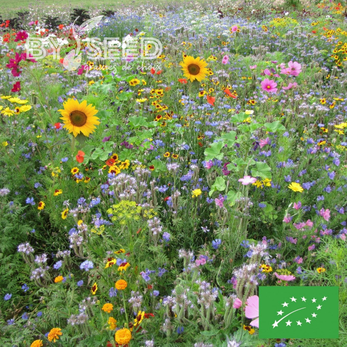 Mélange de fleurs pour Abeilles BIO