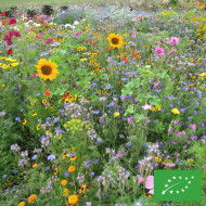 Mélange de fleurs pour Abeilles BIO