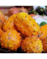 Mélange de fleurs annuelles nectarifères et mellifères Oxipoli®