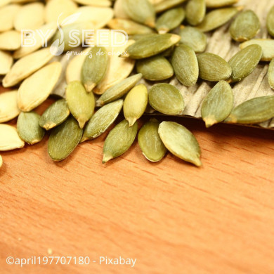 Courge à huile Miranda