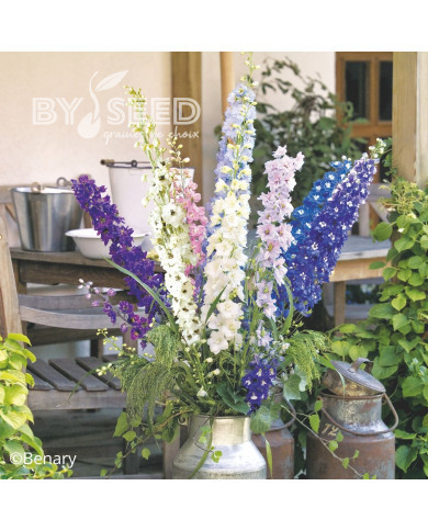 Delphinium Pacific Giants Round Table Formula Mix