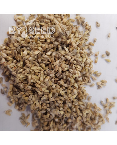 Gomphrena globosa QIS® Formula Mixture