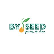 Statice vivace - Limonium sinense Elegant